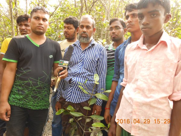 সুন্দরবনের মধু - Image 3